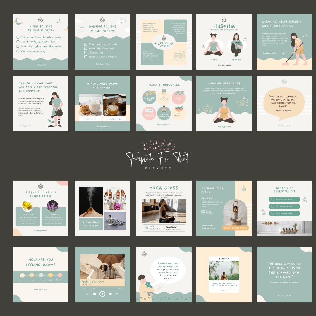 Mindfulness Social Media Posts with MRR & PLR