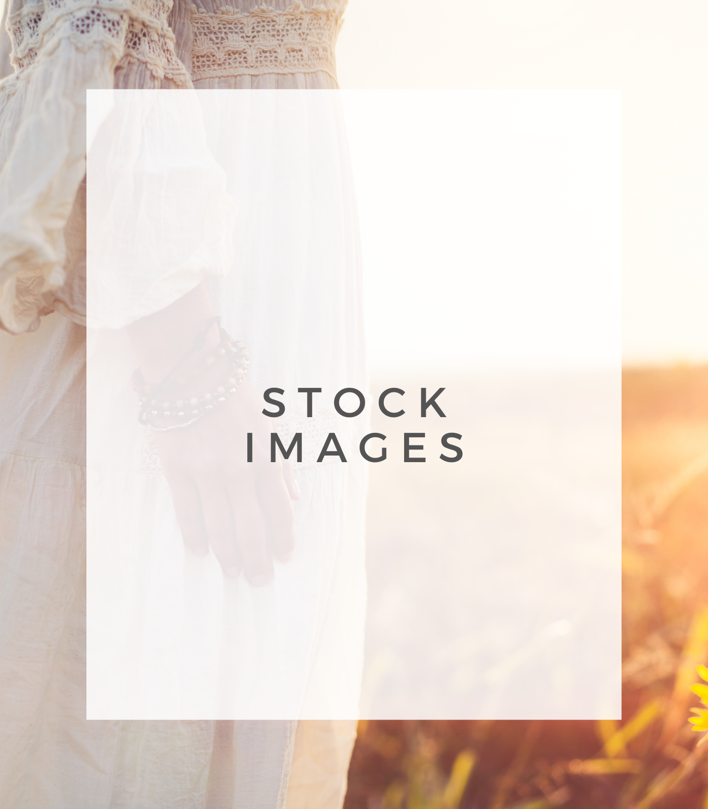 Stock Images with Master Resell Rights (MRR)
