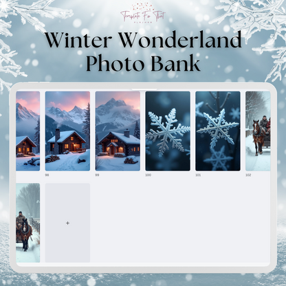 Winter Wonderland Photo Bank with PLR & MRR