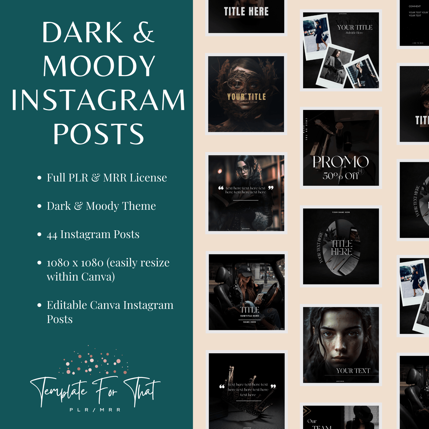 Done for you social media templates with PLR and MRR