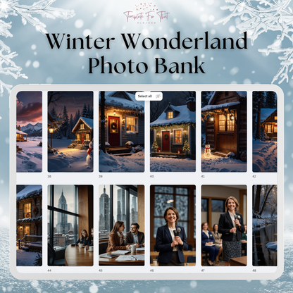 Winter Wonderland Photo Bank with PLR & MRR