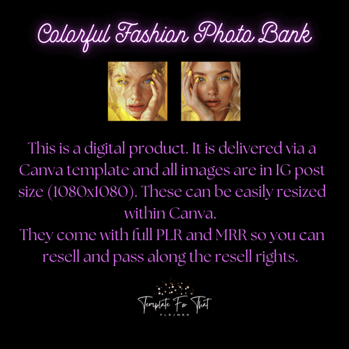 Colorful Fashion AI Photo Bank with PLR and MRR 