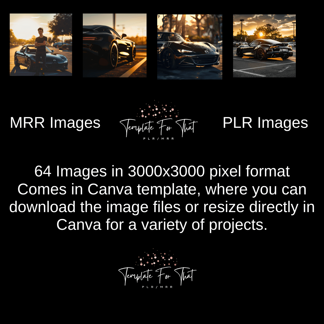 Masculine Vibes Photo Bank with MRR/PLR 