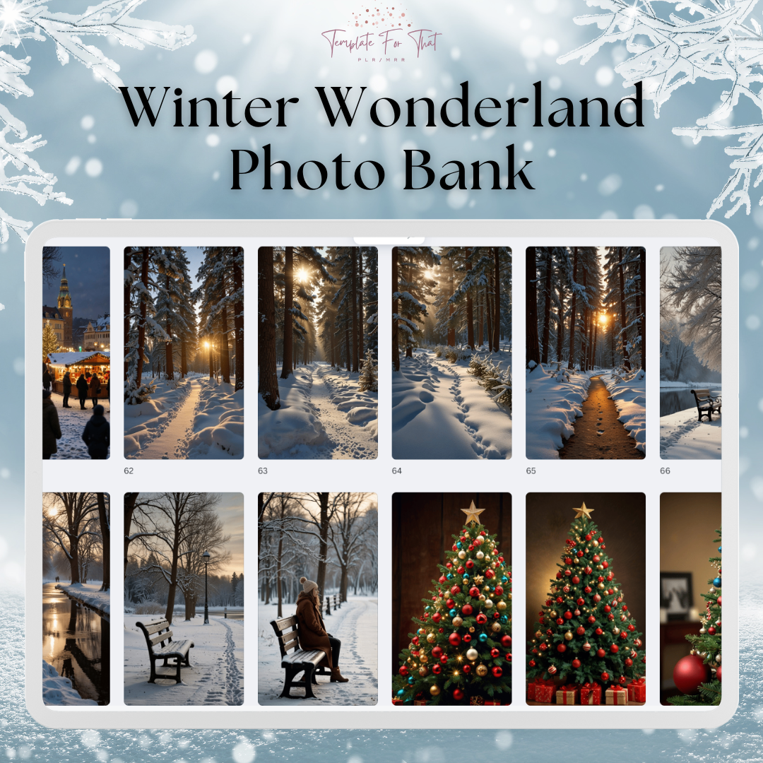 Winter Wonderland Photo Bank with PLR & MRR