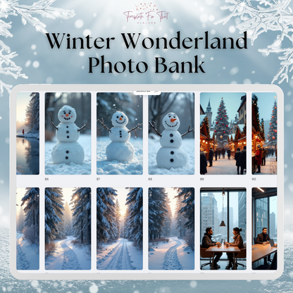 Winter Wonderland Photo Bank with PLR & MRR
